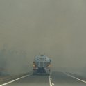 Bush Fire